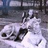 Старшая внучка Рита в Ленпарке, на скульптуре льва, 1957 г. (из экспонатов музея)